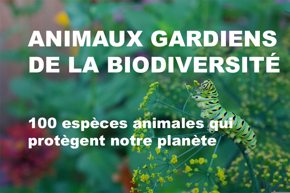 livre ebook animaux biodiversite