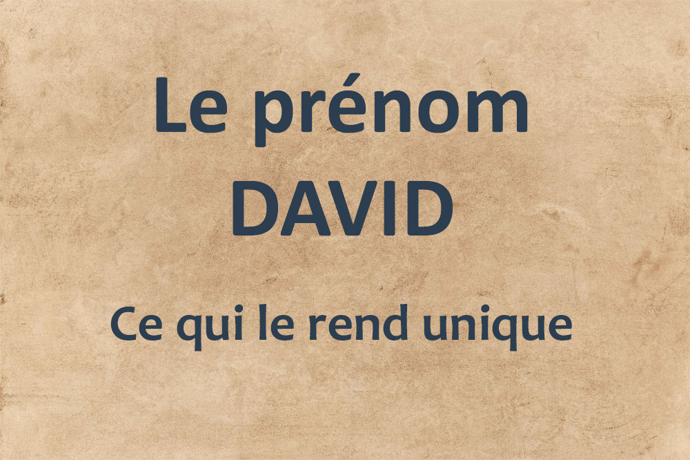 livre ebook prenom david