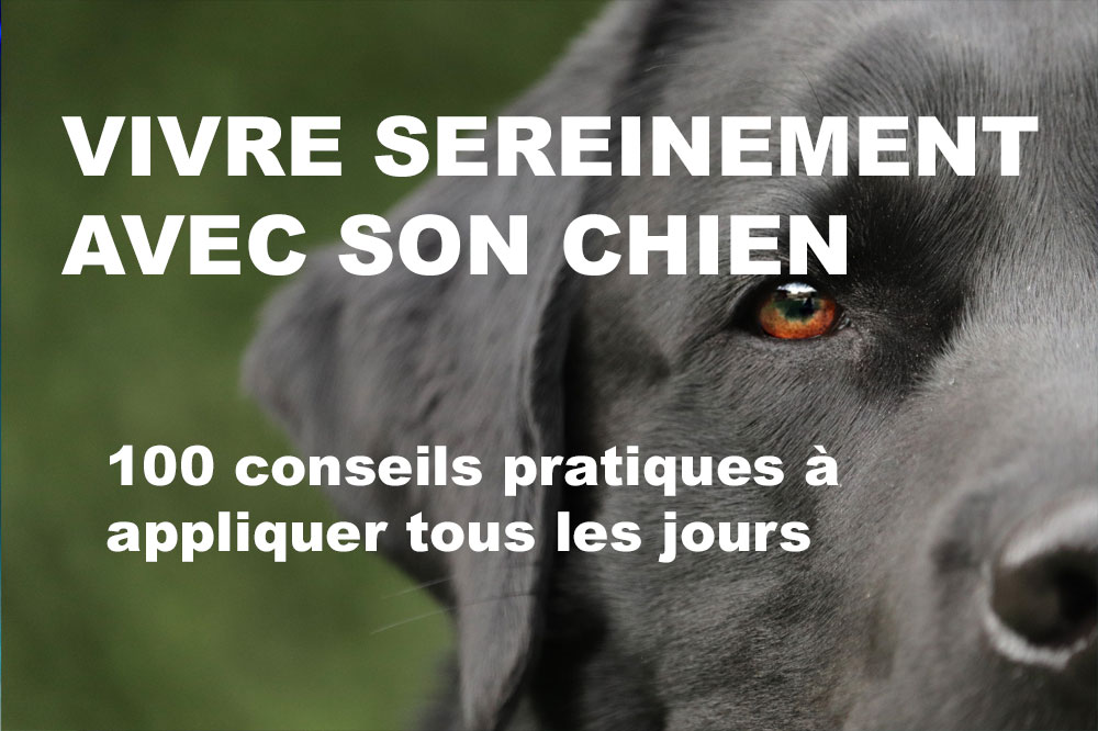 livre ebook vivre chien
