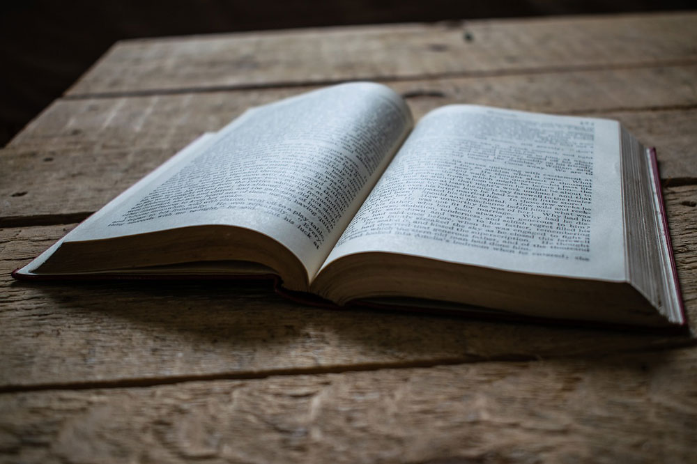 livre ebook blog livres
